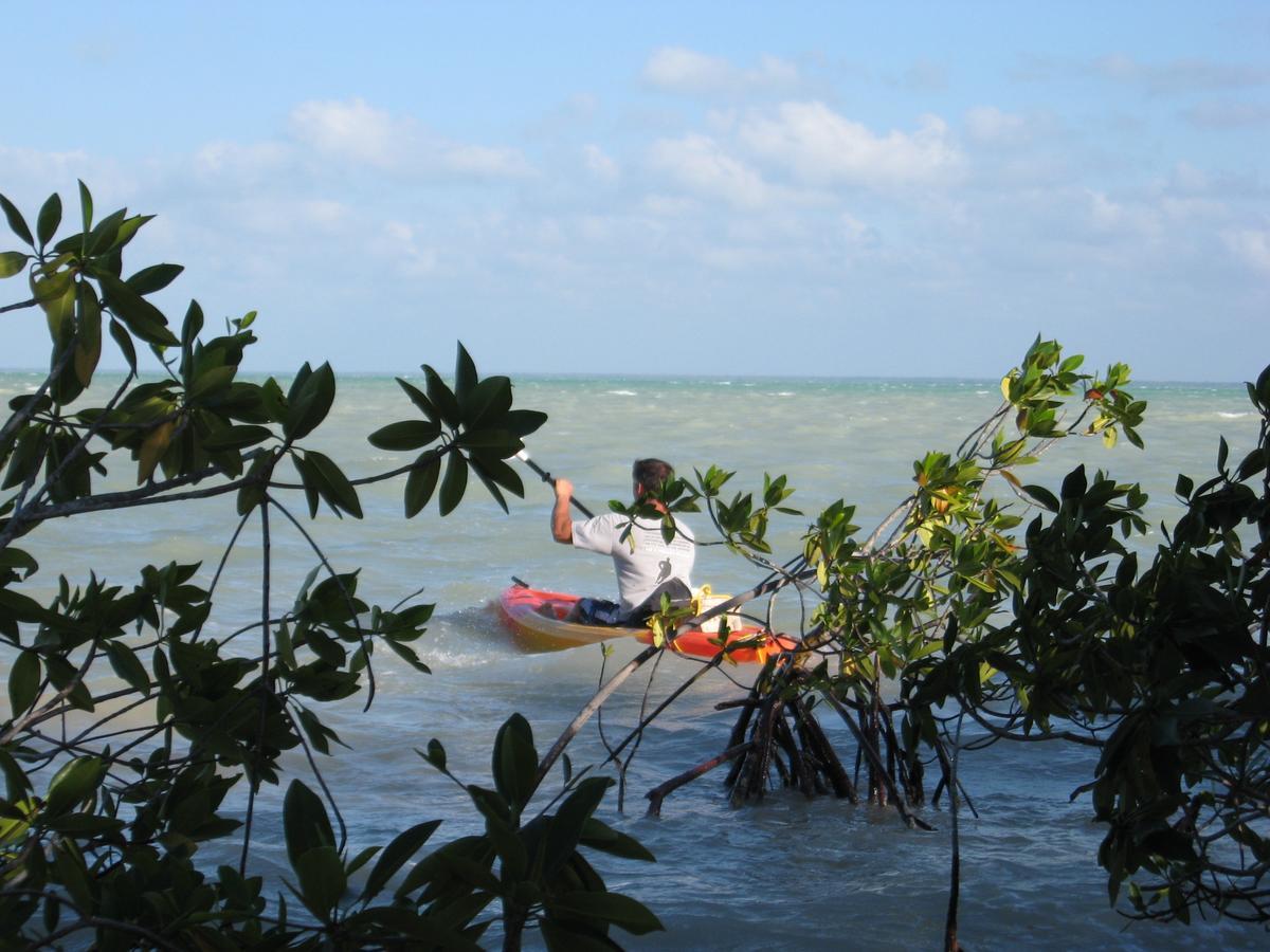 Serenity Sands Corozal Exteriör bild
